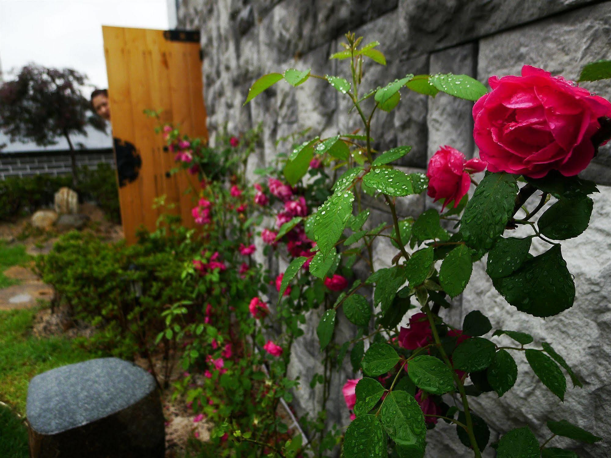 Sieoso Hotel Seul Exterior foto